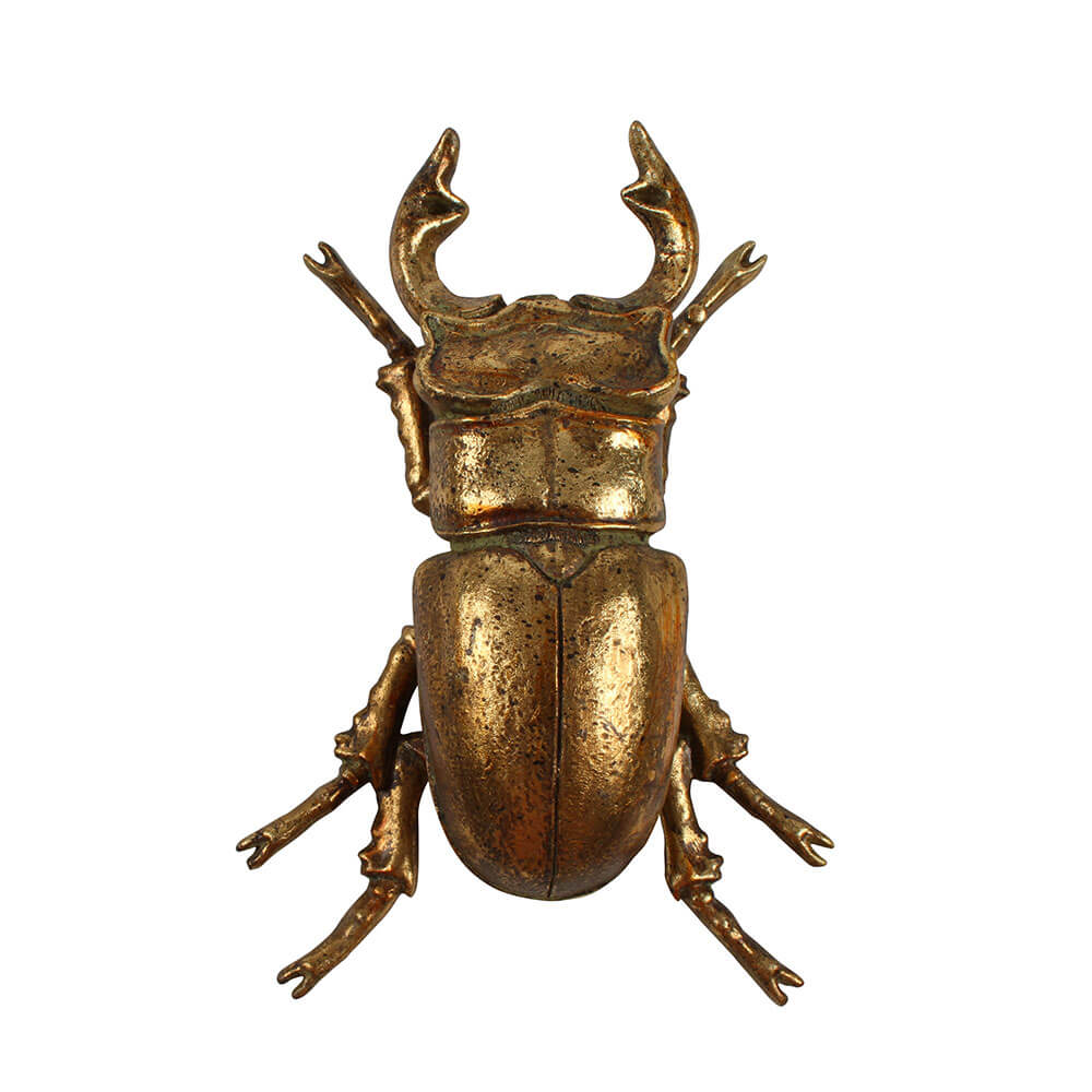 Angi Resin Beetle (13x10x5cm)