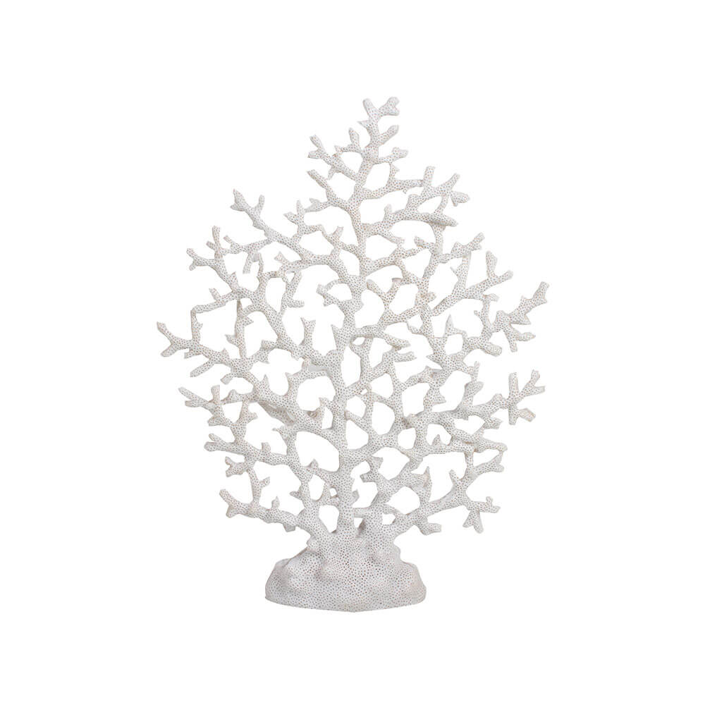 7 Seas Large Fan Finger Coral (39x16x2cm)