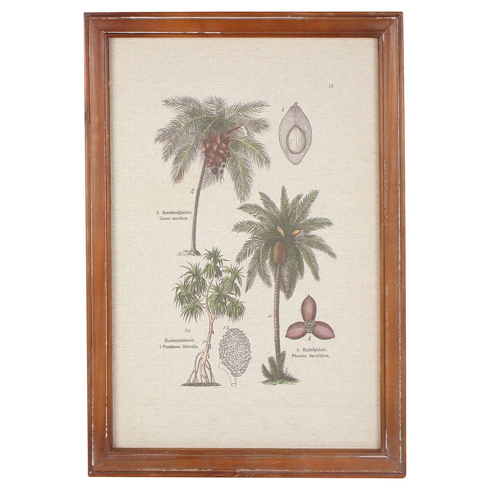 Vintage Jungle Botany Framed Print (38x52x1.8cm)