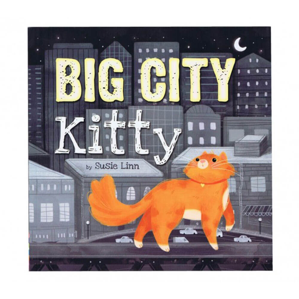 Big City Kitty Picture Book