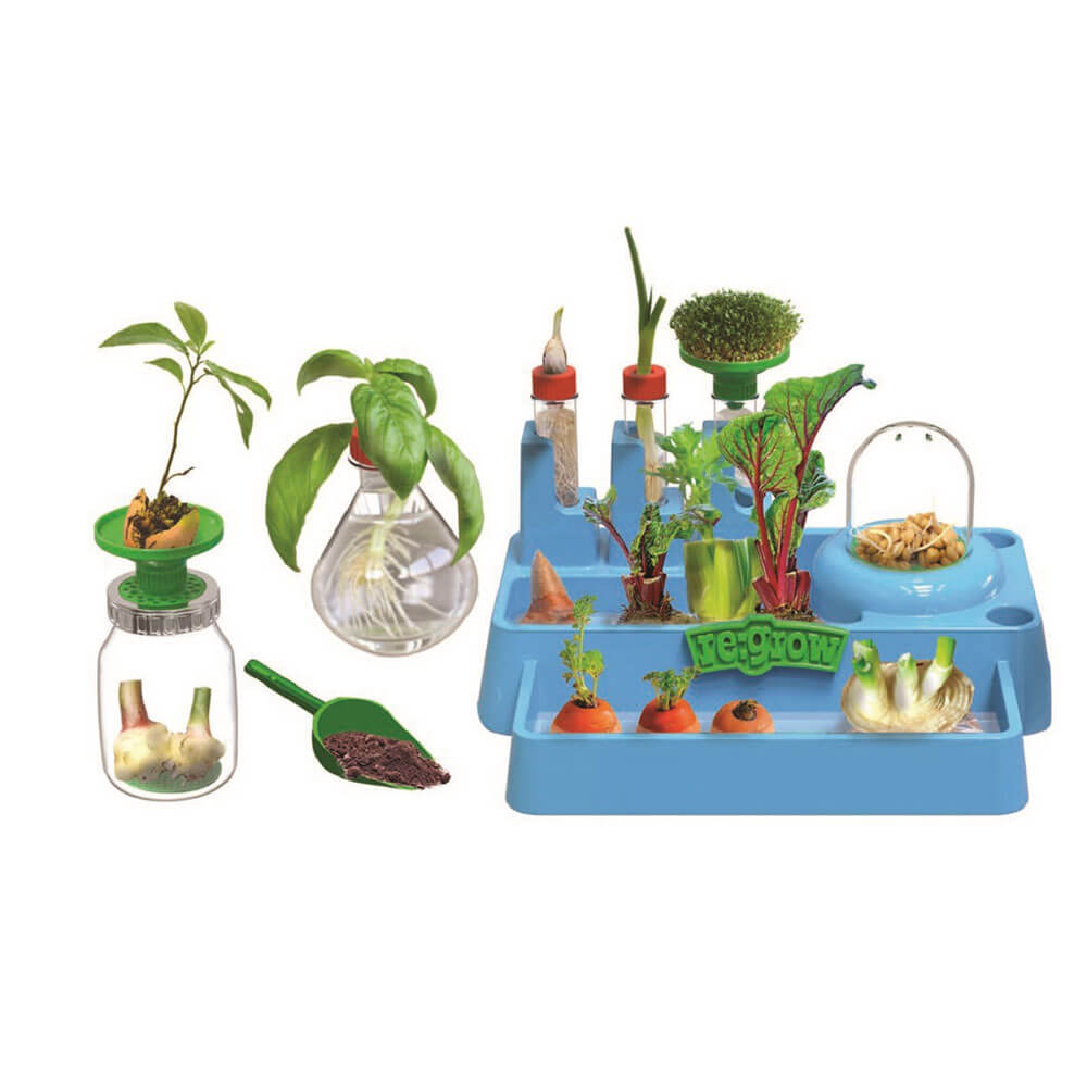 Science to the Max Regrow Lab Toy