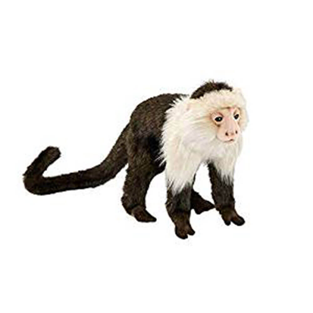 Hansa Capuchin Monkey (20cm)