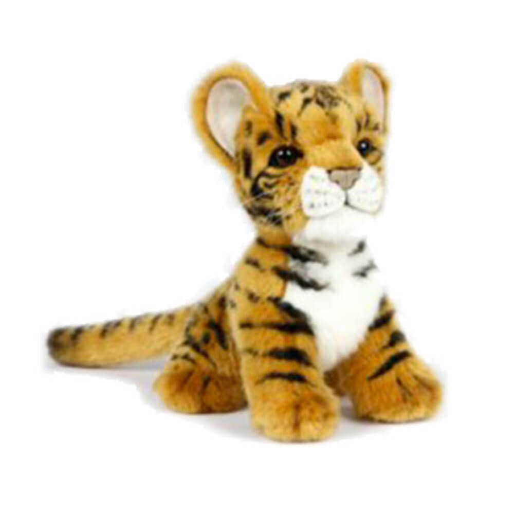 Hansa Tiger Cub