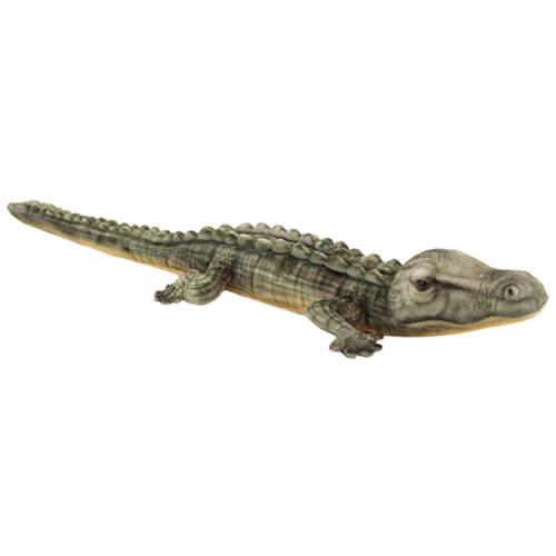 Hansa Salt Water Crocodile