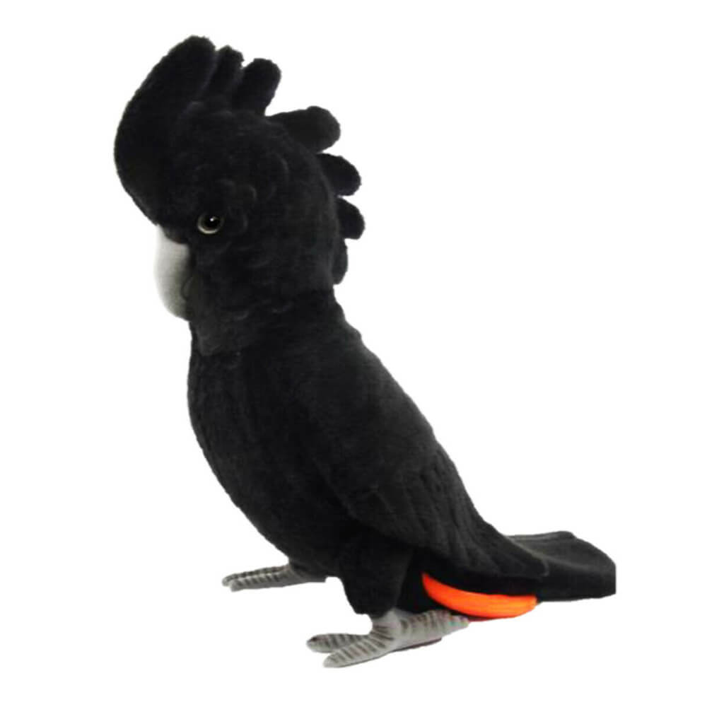 Hansa Black Cockatoo (35cm L)