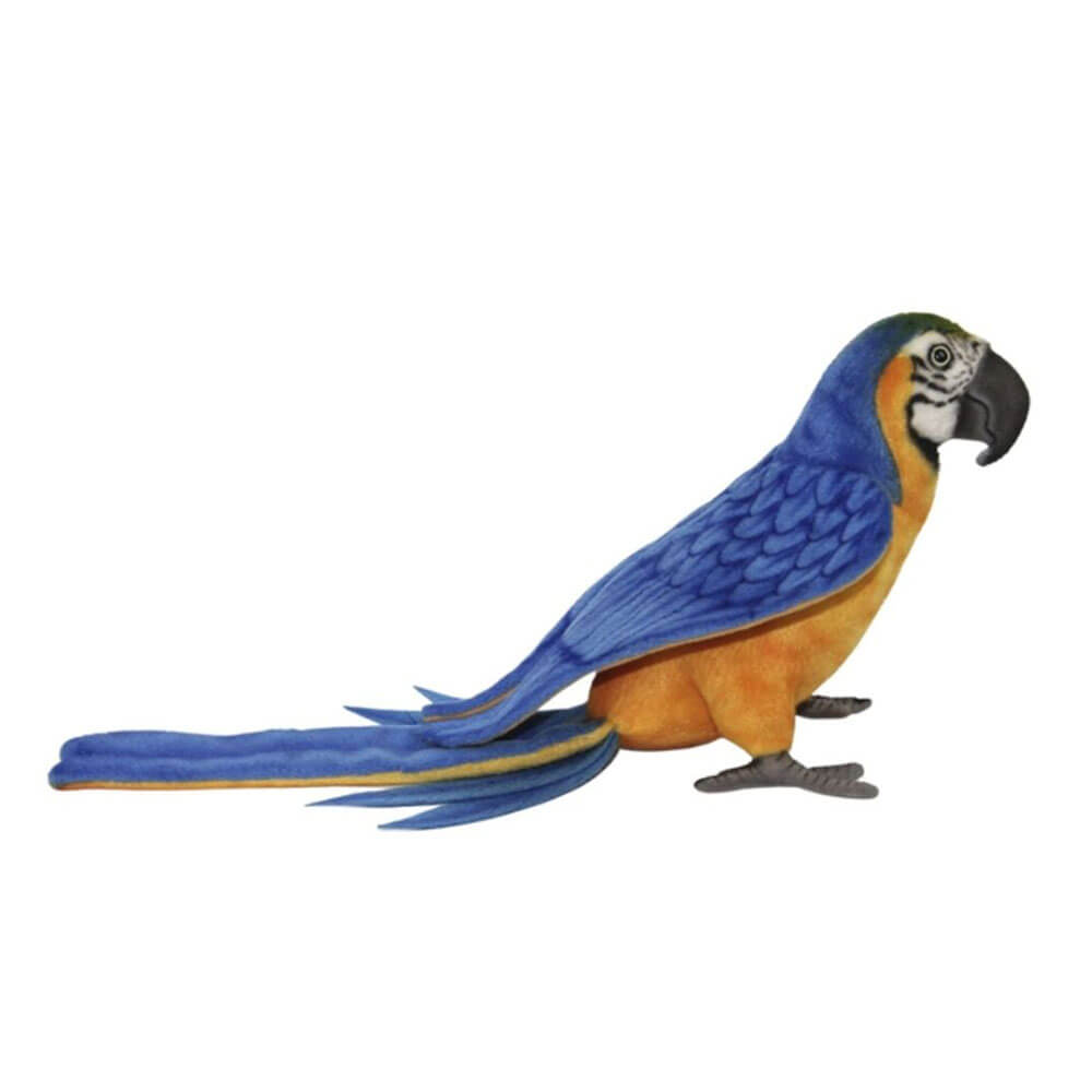 Macaw Blue/Yellow (40cm L)