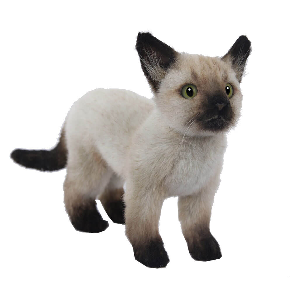 Siamese Kitten (33cm L)