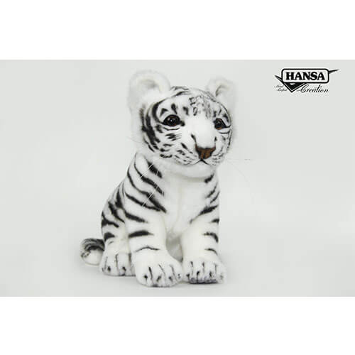 White Amur Tiger Cub (26cm L)