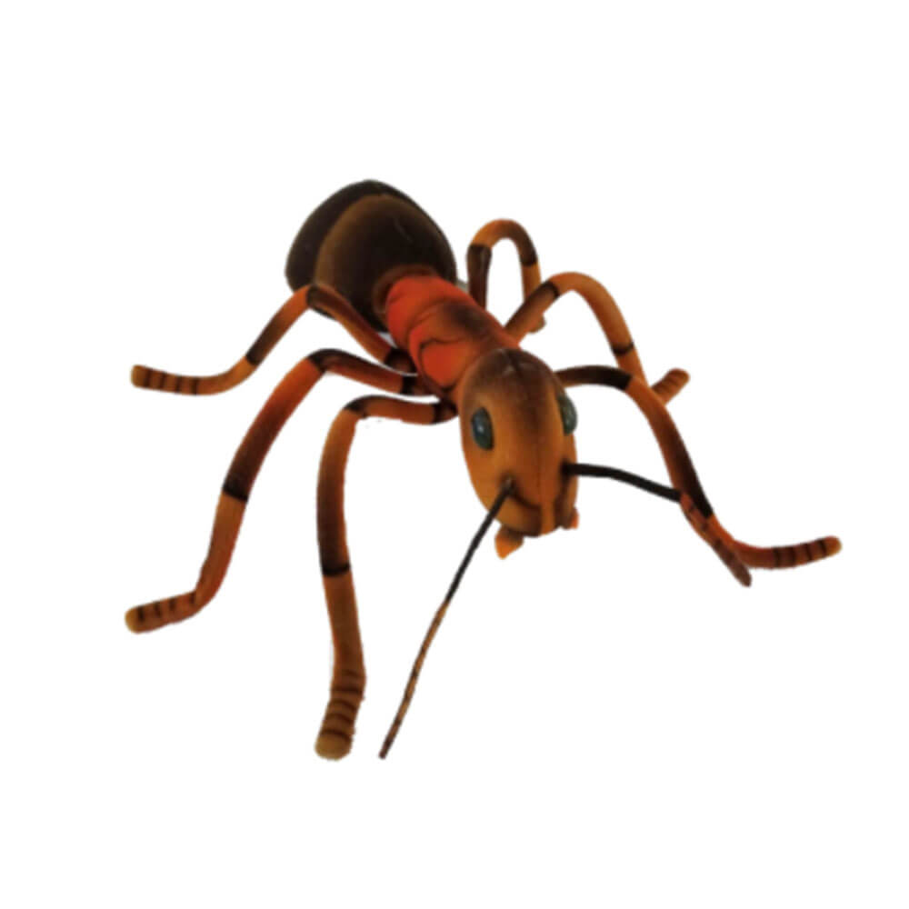 Ant Plush Toy (25cm W)