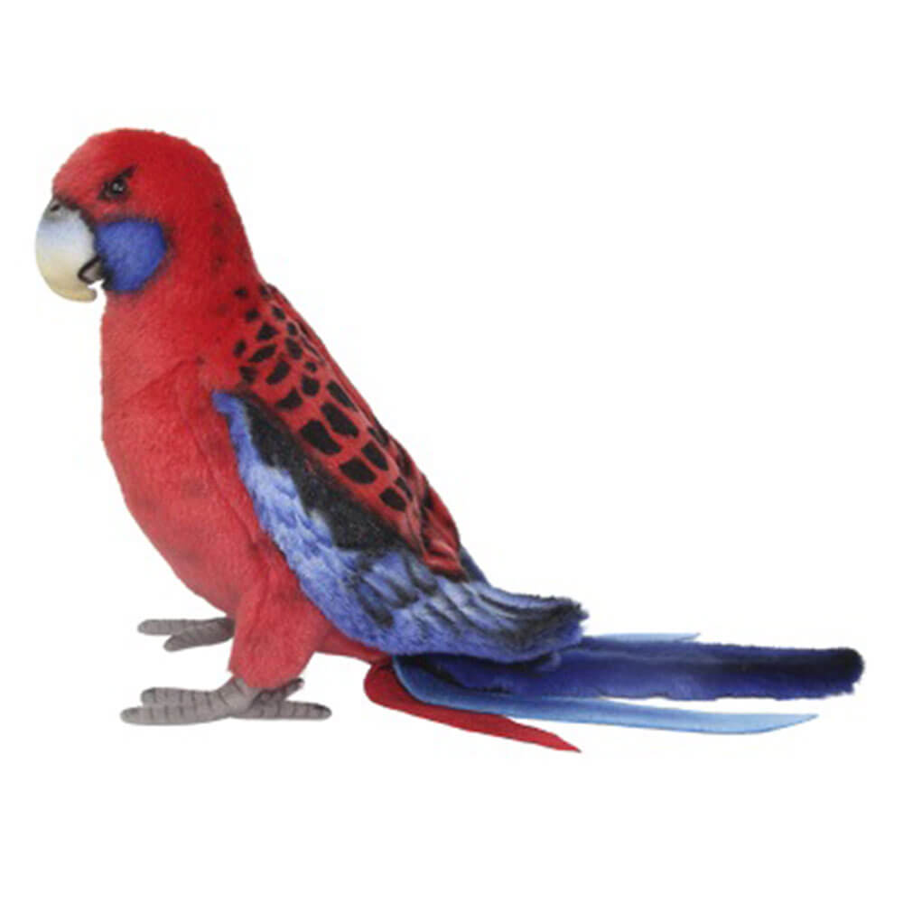 Crimson Rosella Plush Toy (30cm L)