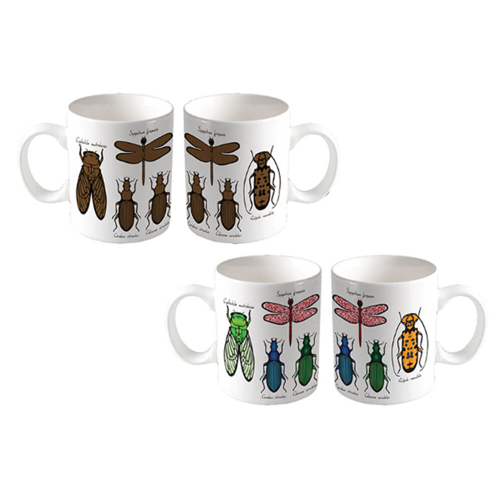 Entomology Colour Changing Mug