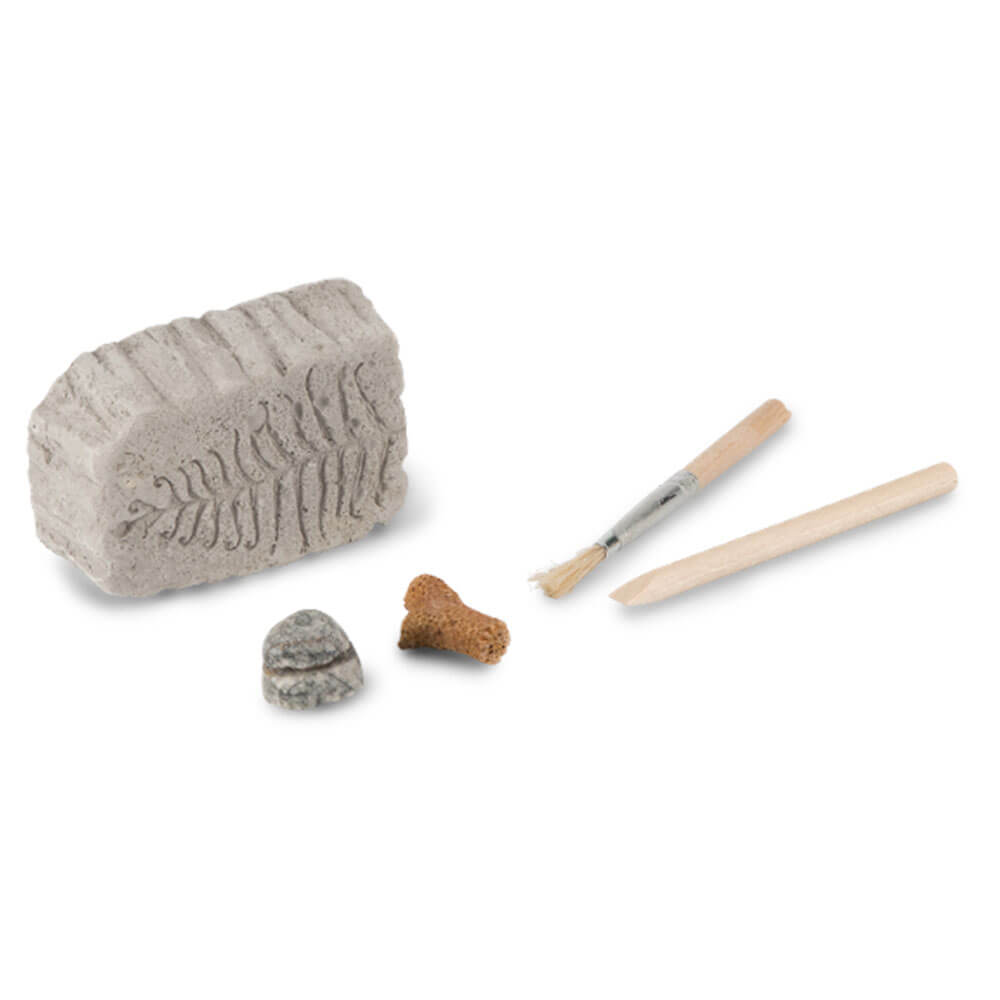 Fossil Dig Palaentology Kit