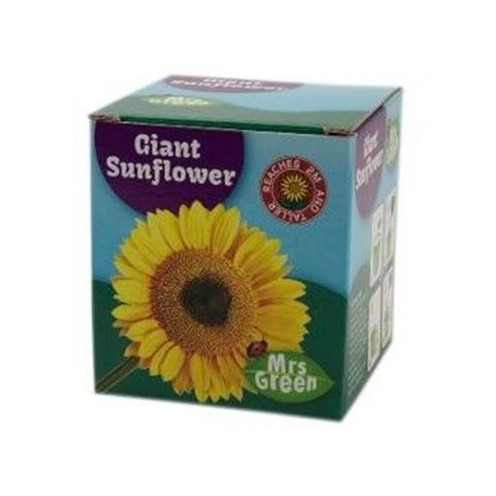 Giant Sunflower Cup