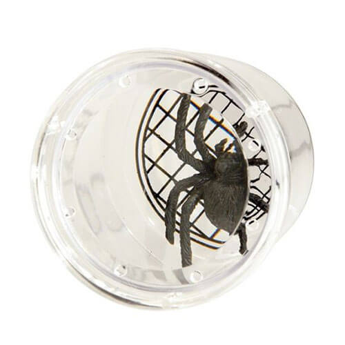 Magnifying Bug Jar