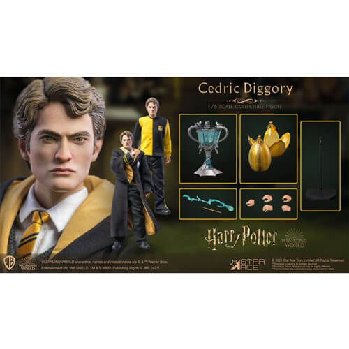 Cedric Diggory Deluxe 1:6 Scale 12" Action Figure