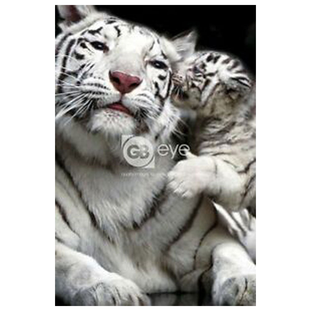 White Tigers Mother's Love Poster