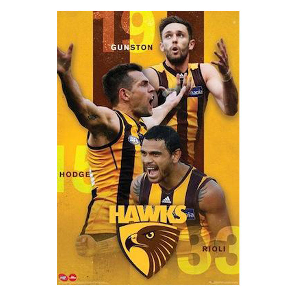 AFL Hawthorn Players 17 Poster
