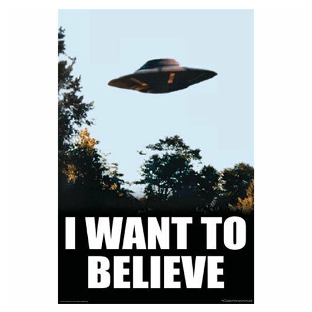 X-Files I Want To Believe Poster