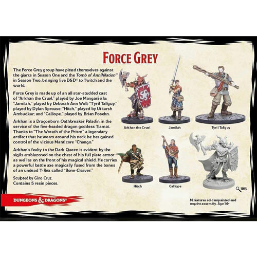 D&D Collectors Mini Force Grey