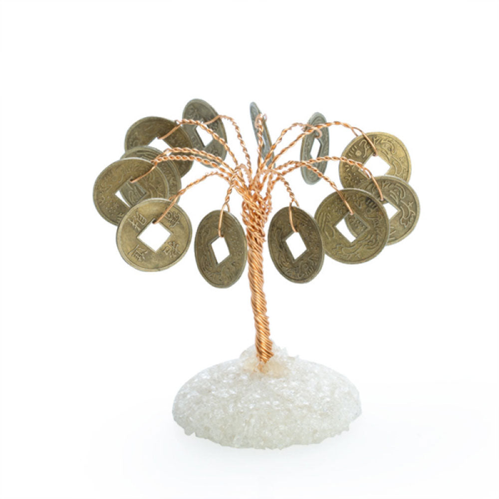 Ornamental Money Tree