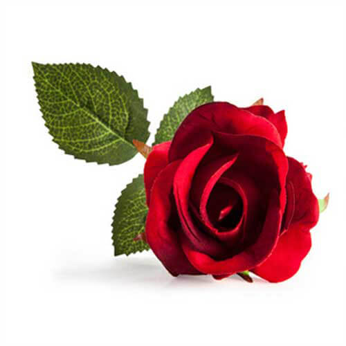 LED Enchanting Rose