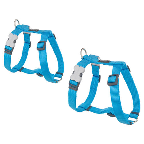 Classic Harness (Turquoise)