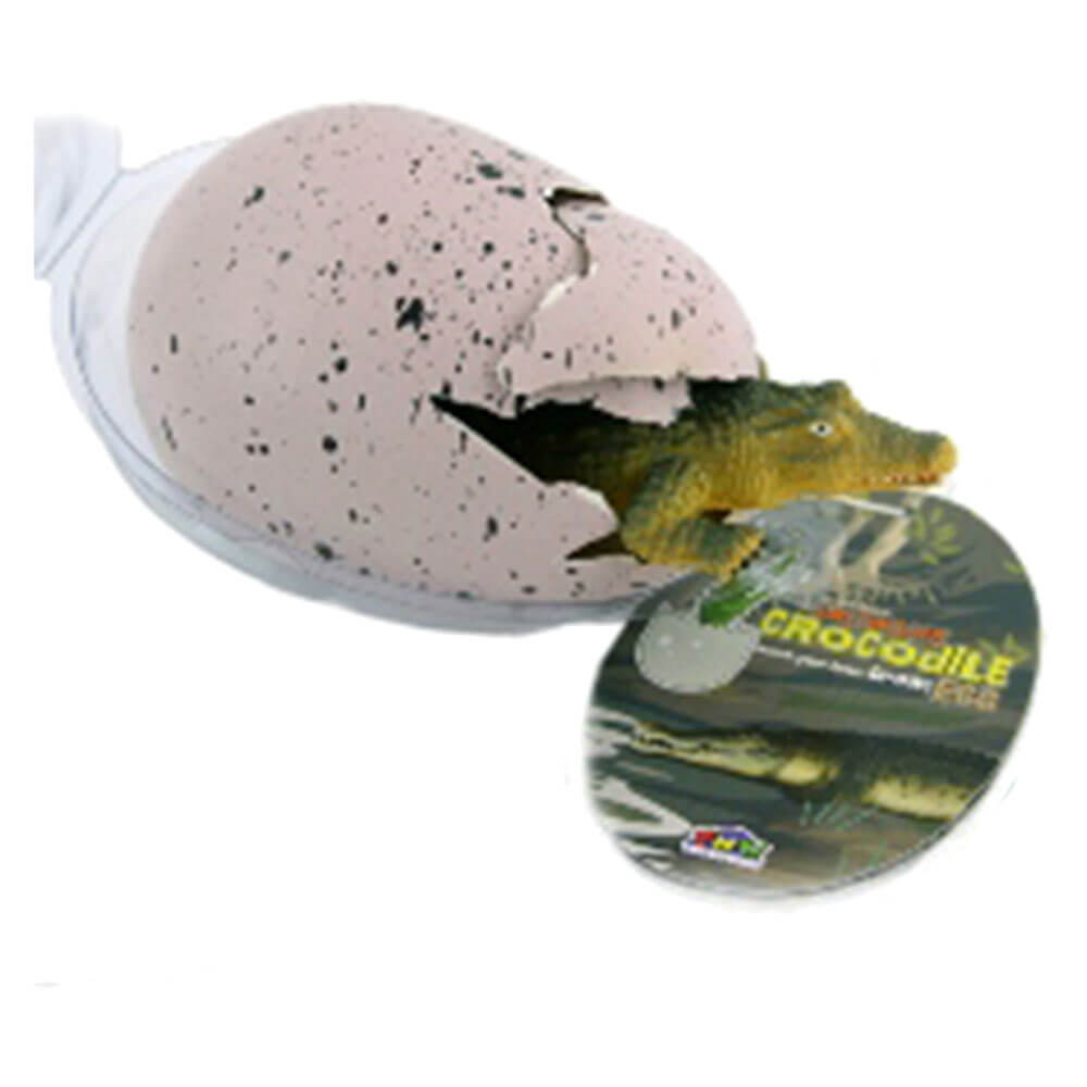 Growing Saltwater Croc in Egg (Large)