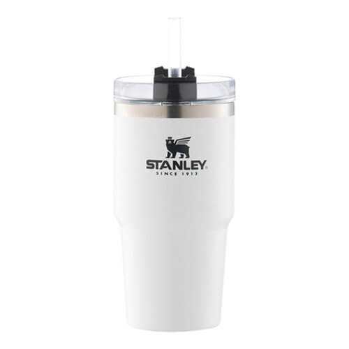 Stanley Vacuum Quencher 20oz (Polar)