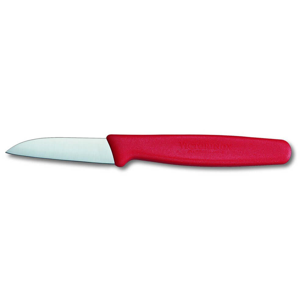 Victorinox Paring Knife Straight Blade Nylon 6cm