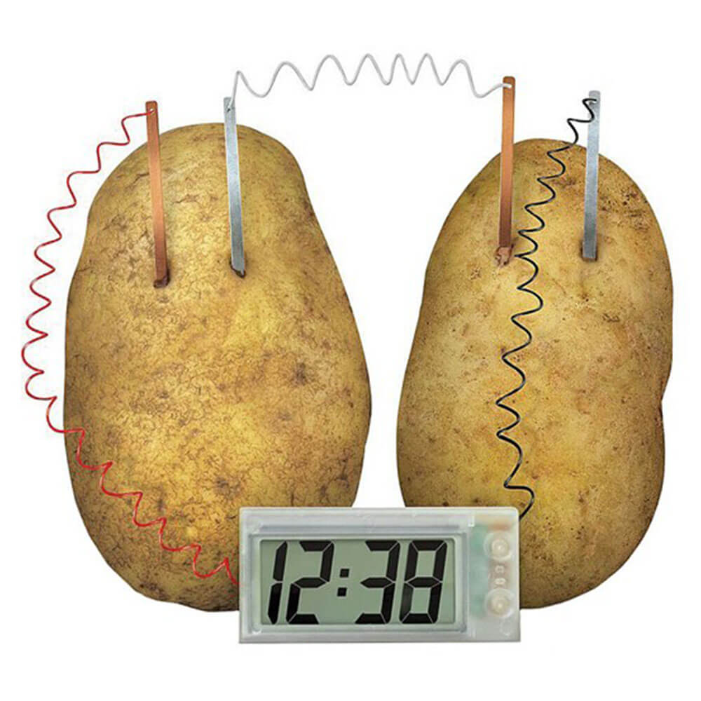 Educational Potato Powered Clock Kit
