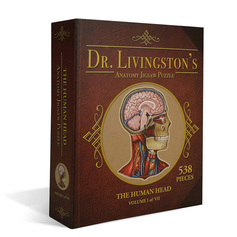 Dr. Livingston's Anatomy Jigsaw Puzzle the Human Head