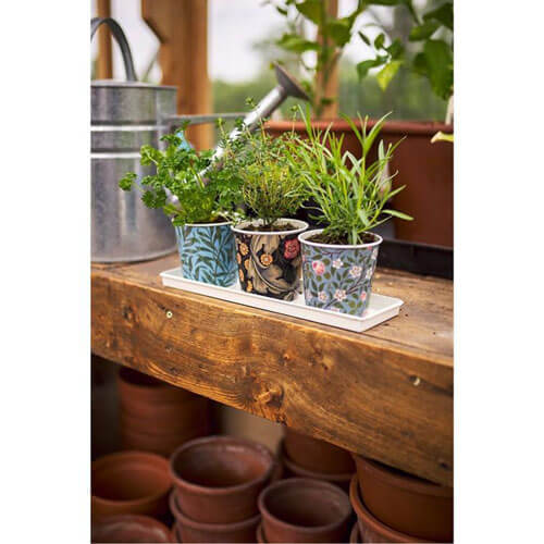 V&A Set of 3 Plant Pots (Leicester, Clover & Leaf)