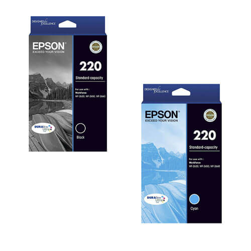 Epson Standard-capacity Inkjet Cartridge 220