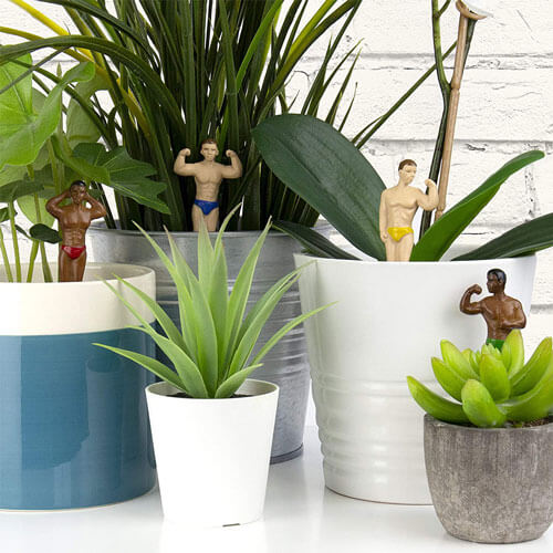 Plant Pot Hunks