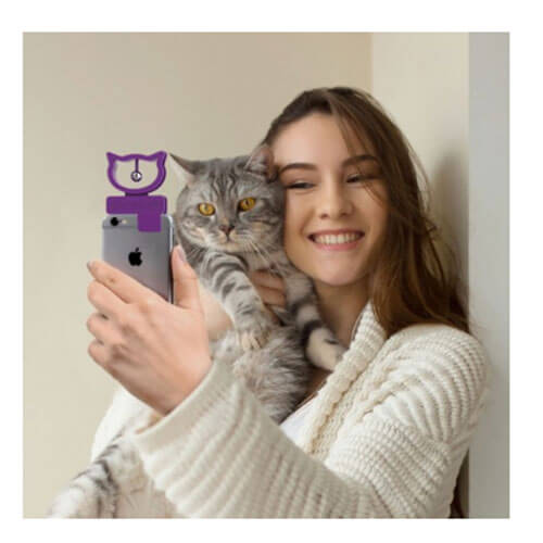 Bubblegum Stuff Cat Selfie
