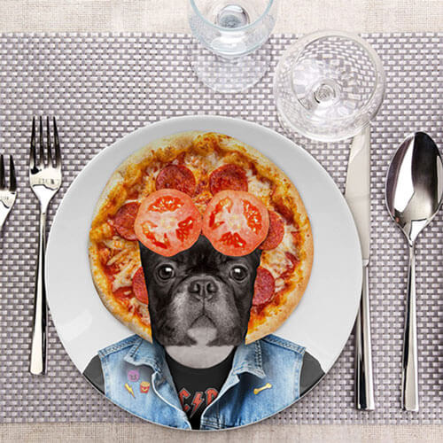 Wild Dining Dog