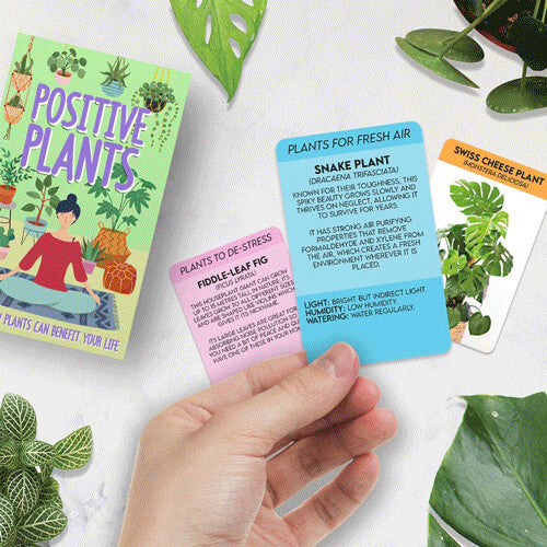 Gift Republic Positive Plants Cards