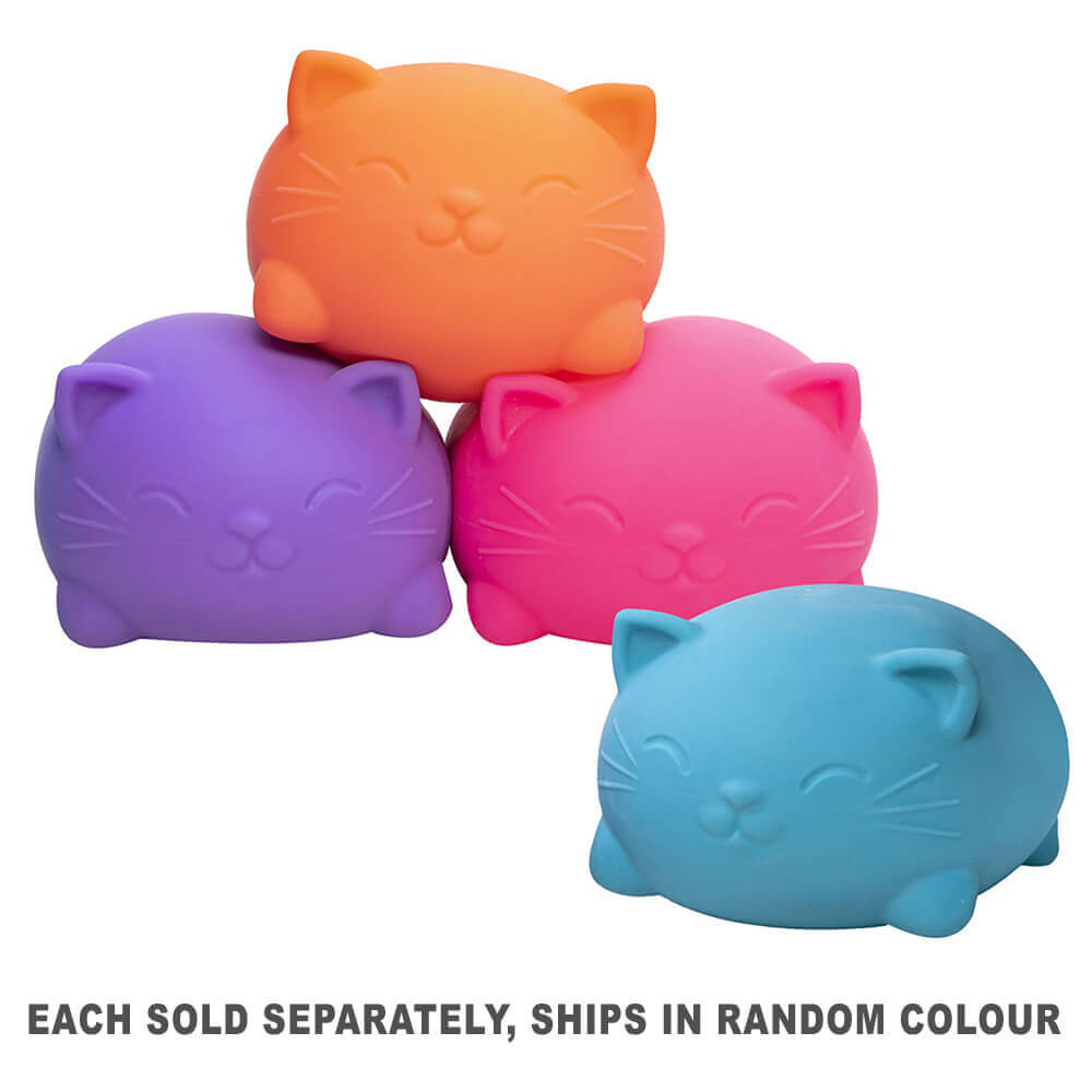Schylling Cool Cats Super Nee-Doh (1pc Random Colour)